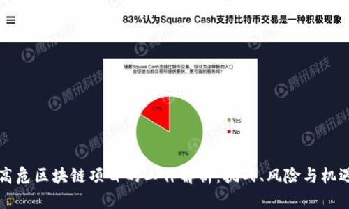 高危区块链项目的工作解析:挑战、风险与机遇