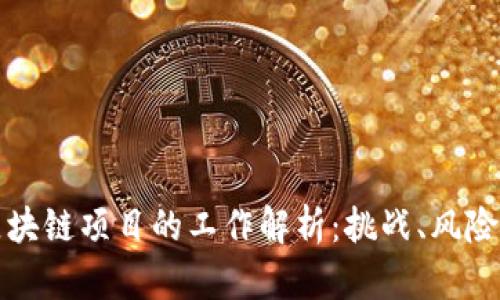 高危区块链项目的工作解析:挑战、风险与机遇
