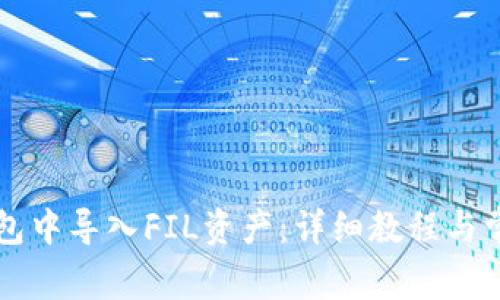 如何在TP钱包中导入FIL资产:详细教程与常见问题解析