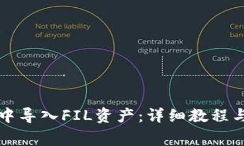 如何在TP钱包中导入FIL资产:详细教程与常见问题解析