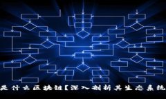 SUSHI是什么区块链？深入剖析其生态系统与功能
