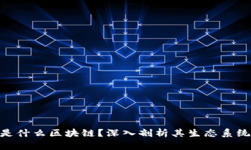 SUSHI是什么区块链?深入剖析其生态系统与功能