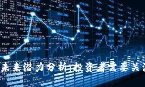Top币的未来潜力分析:投资者需要关注的因素