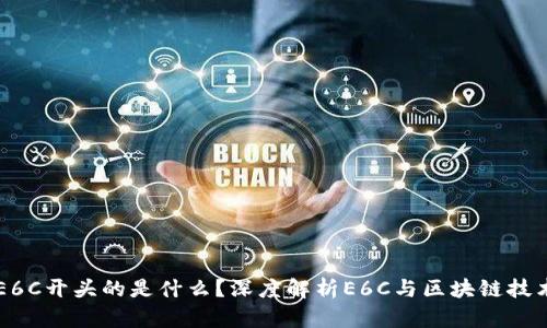 区块链E6C开头的是什么?深度解析E6C与区块链技术的关系