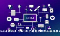 区块链E6C开头的是什么？深度解析E6C与区块链技