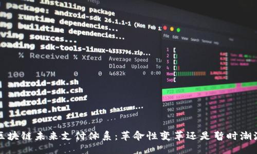 区块链未来支付体系:革命性变革还是暂时潮流?