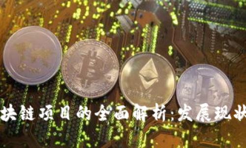 民间智慧区块链项目的全面解析：发展现状与未来前景