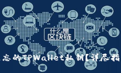 : 如何找回遗忘的TPWallet私钥？详尽指南与最佳实践