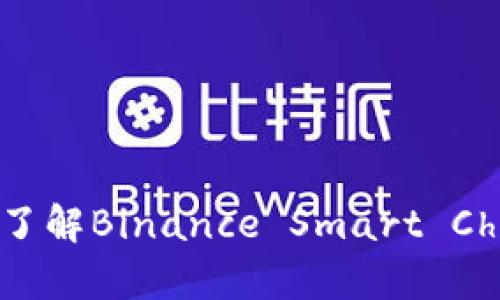 区块链BSC解析：了解Binance Smart Chain的定义与应用