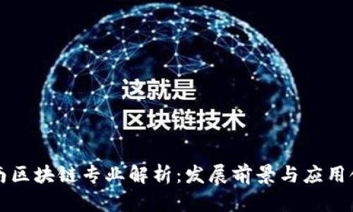 云南区块链专业解析：发展前景与应用领域
