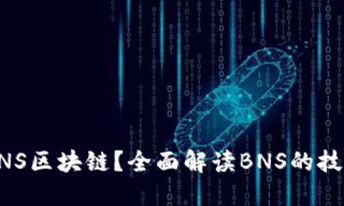 什么是BNS区块链？全面解读BNS的技术与应用