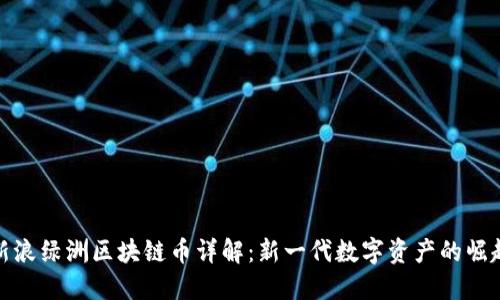 新浪绿洲区块链币详解：新一代数字资产的崛起