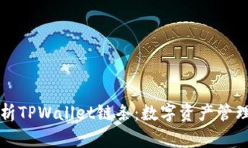 全面解析TPWallet链条：数字资产管理的未来