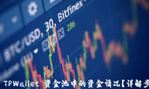 
如何查看 TPWallet 资金池中的资金情况？详解步骤与技巧
