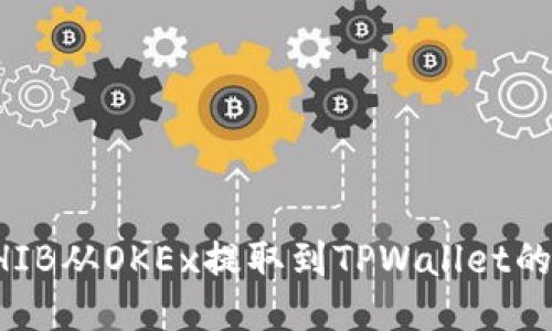 如何将SHIB从OKEx提取到TPWallet的详细指南