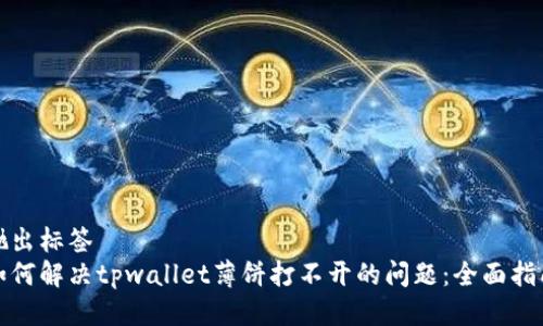 抛出标签
如何解决tpwallet薄饼打不开的问题：全面指南
