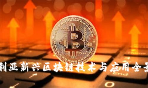澳大利亚新兴区块链技术与应用全景解析