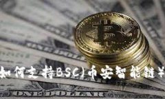 TokenPocket如何支持BSC（币安智能链）及其优势解析