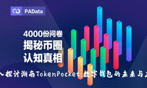 深入探讨湖南TokenPocket：数字钱包的未来与应用