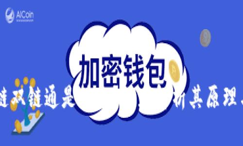 区块链双链通是什么？深度解析其原理与应用
