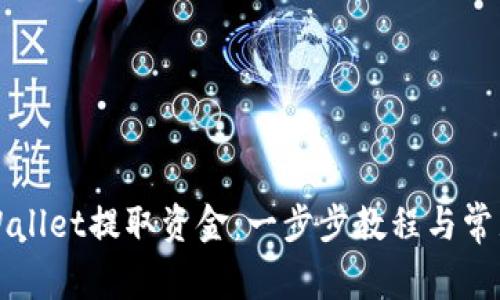 如何从TPWallet提取资金：一步步教程与常见问题解析