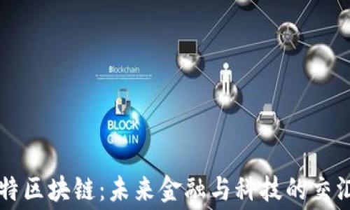 
赛特区块链：未来金融与科技的交汇点