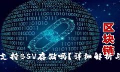 TPWallet支持BSV存储吗？详细解析与使用指南