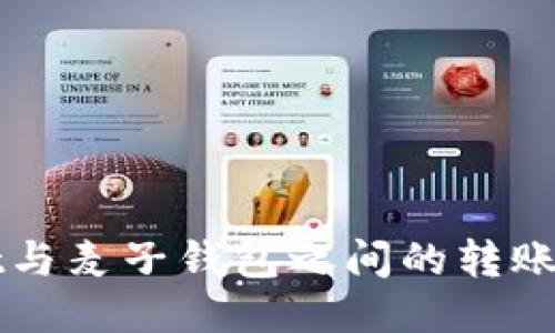 TPWallet与麦子钱包之间的转账操作指南