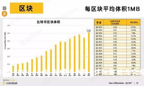 提BNB到TPWallet选择哪个网络？详细解析与实用指南