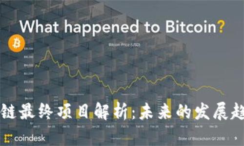 国内区块链最终项目解析：未来的发展趋势与挑战