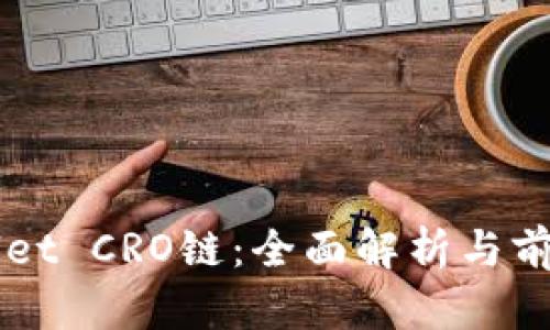 TPWallet CRO链：全面解析与前景展望