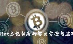 TPWallet忘记钥匙的解决方案与应对策略