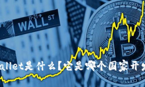 TPWallet是什么？它是哪个国家开发的？