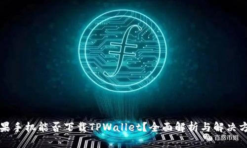 苹果手机能否下载TPWallet？全面解析与解决方案