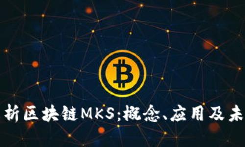 深入解析区块链MKS：概念、应用及未来发展