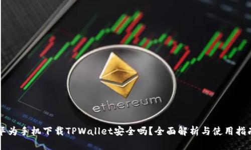 华为手机下载TPWallet安全吗？全面解析与使用指南