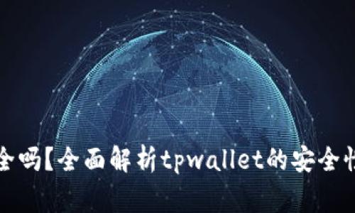 tpwallet交易安全吗？全面解析tpwallet的安全性与使用注意事项