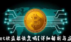 TPWallet被盗能恢复吗？详细解析与应对措施