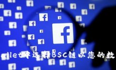 如何在TPWallet中选择BSC链以您的数字资产管理