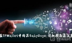 如何在TPWallet中购买BabyDoge：详细指南与注意事项