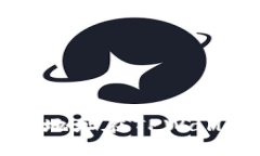 如何通过合约地址在TPWallet中进行搜索