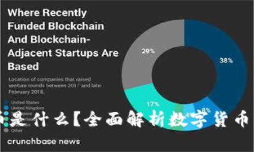 区块链中的币是什么？全面解析数字货币的概念与应用