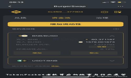 TokenPocket老板背后的故事与行业展望