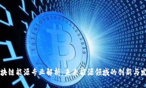 区块链能源专业解析：未来能源领域的创新与发展