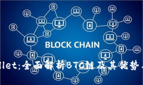 TPWallet：全面解析BTC链及其优势与功能