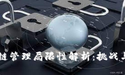 区块链管理局限性解析：挑战与未来