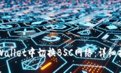 如何在TPWallet中切换BSC网络：详细指南与技巧