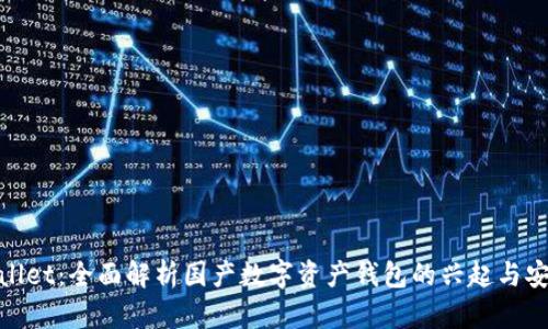 tpwallet：全面解析国产数字资产钱包的兴起与安全性