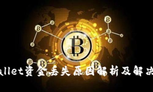 TPWallet资金丢失原因解析及解决方案