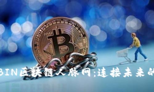 深入探索BIN区块链人脉网：连接未来的社交网络
